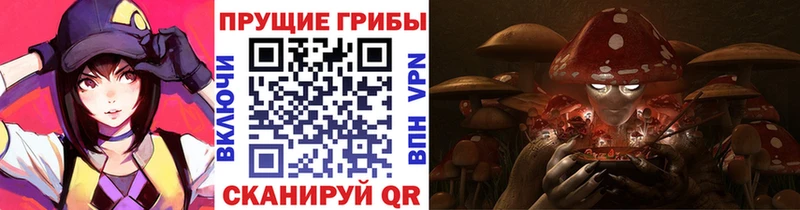 Купить закладки  Калининск  Галлюциногенные грибы мицелий 